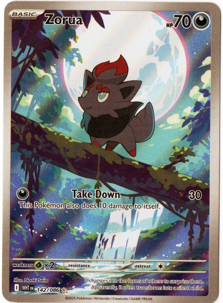 2025 Pokemon TCG White Flare Zorua 142/086 Illustration Rare NM/Mint
