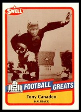 1989 SWELL GREATS TONY CANADEO GREEN BAY PACKERS #88