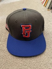PEARL JAM Baseball Hat CHICAGO NEW 2018 Wrigley Field Cubs Eddie Vedder Snapback