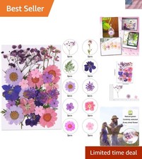 Versatile Natural Dried Flowers - Perfect for DIY Jewelry  Home Decor Projects