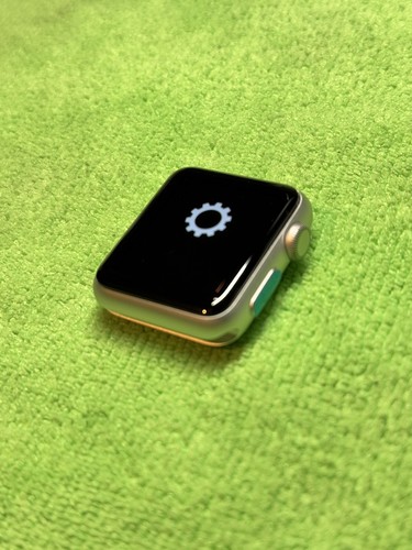Apple Watch Series 0 38mm DVT / EVT / PVT Prototype Switchboard, Very Rare - Picture 4 of 6
