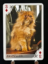 Crookshanks Tully's Coffee Harry Potter playing cards Japanese JAPAN Rare