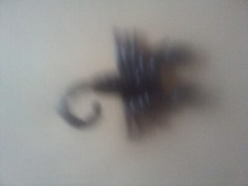 figurine scorpion 4.5cm