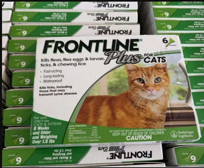 #ad Frontline Plus for Cats and Kittens 6 Doses 100% Genuine U.S EPA Approve $33.99