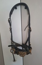 Kappzaum Longierhalfter aus Leder