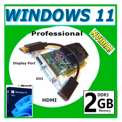 731030_5