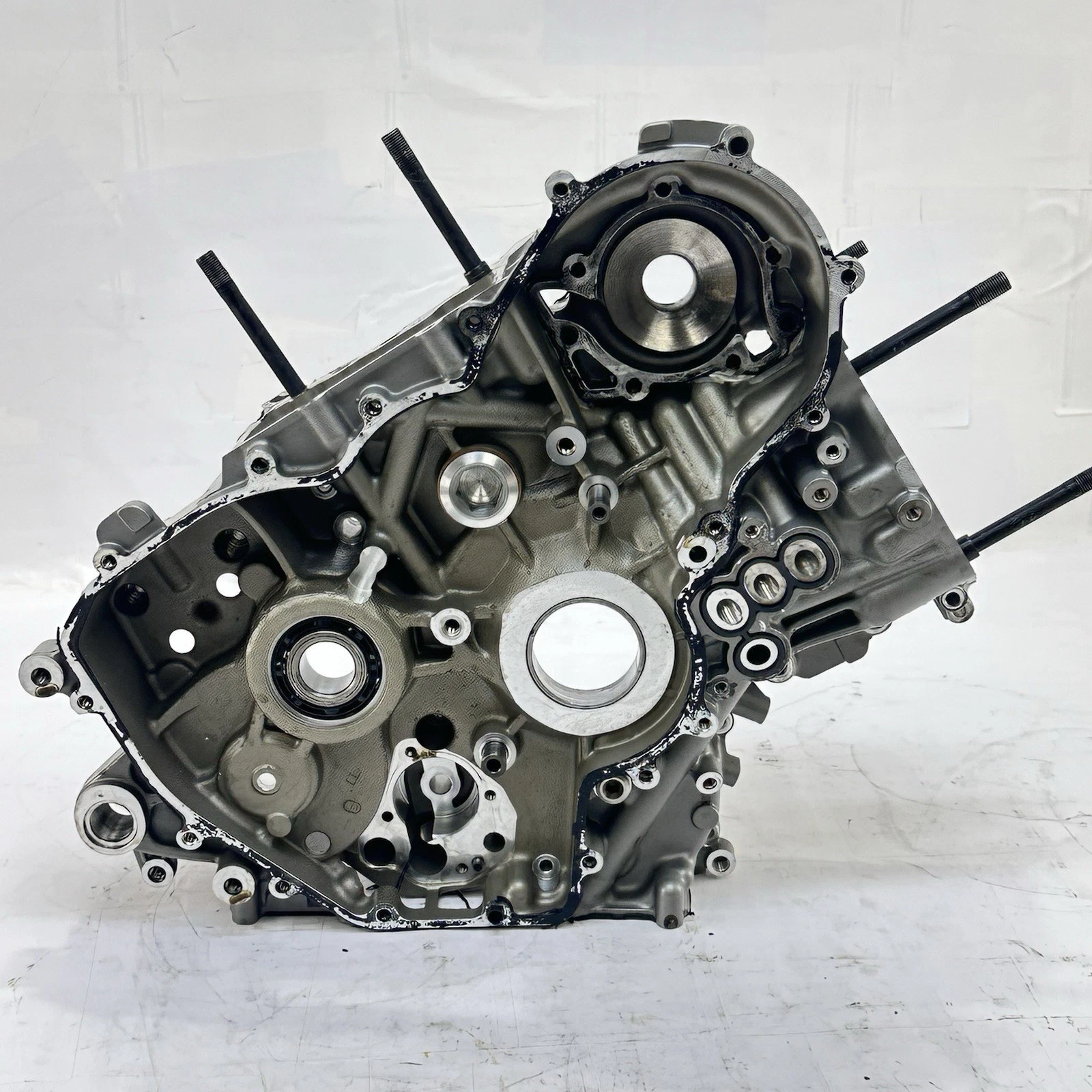 2016 - 2019 DUCATI PANIGALE 959 CRANKCASE ENGINE MOTOR BLOCK CASE BOLTS HARDWARE