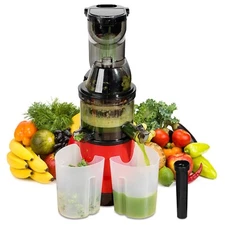 300W Slow Juicer Machine Electric Juicer Cold Press Squeezer Machines w/ 2x600ML