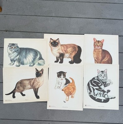Popular Cat Portraits 11'' x 14'' Framable Prints  From Ralston Purina 1960's
