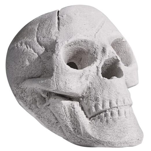 Ceramic Fire Pit Skull Logs for Indoor or Outdoor Fireplaces, Fire White-1 pack