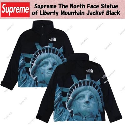 Supreme The North Face Statue of Liberty Mountain Jacket Black