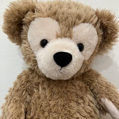 Plush Toy Disney Duffy Teddy Bear Stuffed | eBay