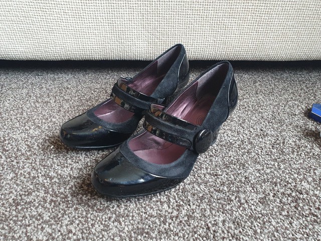 clarks alpine clover