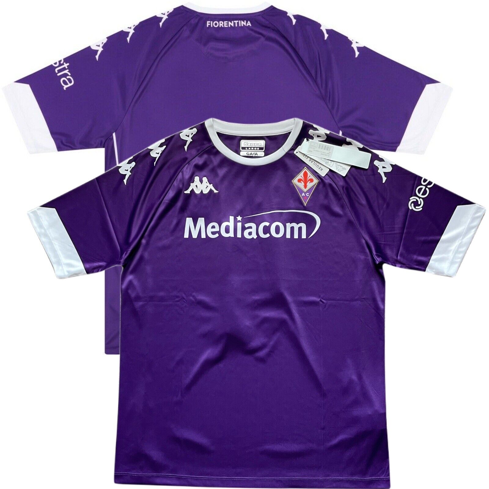 Fiorentina 101: The pre-purple days - Viola Nation