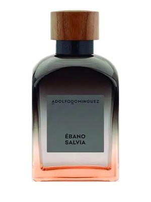Adolfo Dominguez Ébano Salvia Eau de Parfum Herrenparfum 120 ml Duft NEU OVP