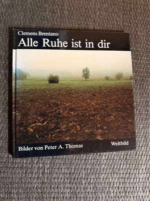 Alle Ruhe ist in dir von Clemens Brentano |   710