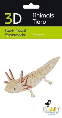 Fridolin 11755 3D-Modell Bastelset Axolotl