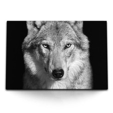 120x80cm Wandbild auf Leinwand Wolf Porträt Tierfotografie Schwarz Weiß