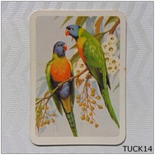 Tuckfield's Australiana Series Birds #78 Rainbow Lorikeet (Tuck14)