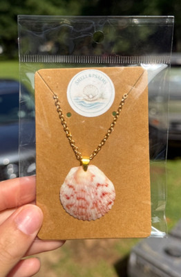 Scallop shell necklace shell from the emerald coast Pensacola Florida