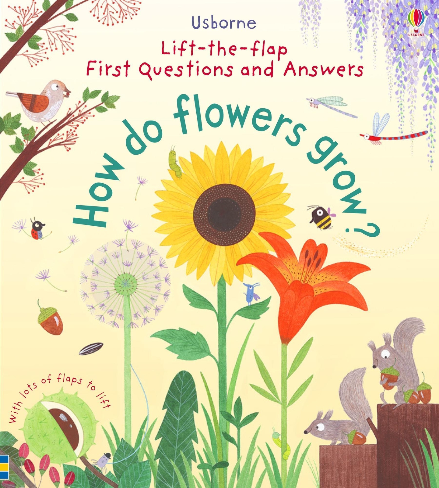 Thumbnail - Katie Daynes | First Lift-the-flap Questions And Answers How Do