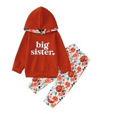 Big Sister Outfit Toddler Baby Girl Big Sis Announcement Hoodie Sweatshirt Fl...