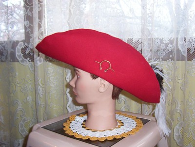 Cavalier/Renaissance/Pirate Hat with 
