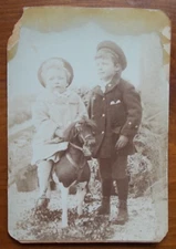 Cabinet Card Portrait of Brother & Sister & toy horse-early childhood memories**