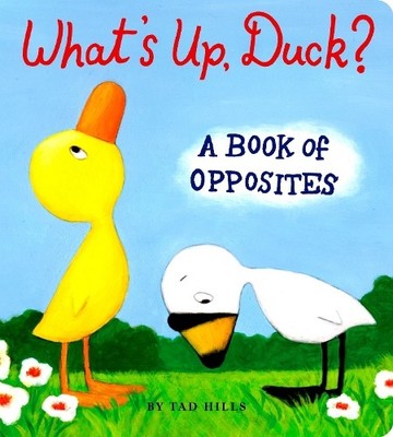 What's Up, Duck?: A Book of Opposites (D..., Hills, Tad