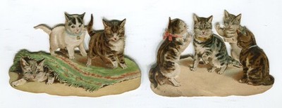Glanzbilder Oblaten scraps  Katzen Teppich Treffen  WH ? H.Maguire   7,7 - 8 cm