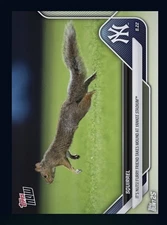 2025 TOPPS NOW- Squirrel takes mound at Yankee Stadium (TOPPS Bunt DigiitaI Card