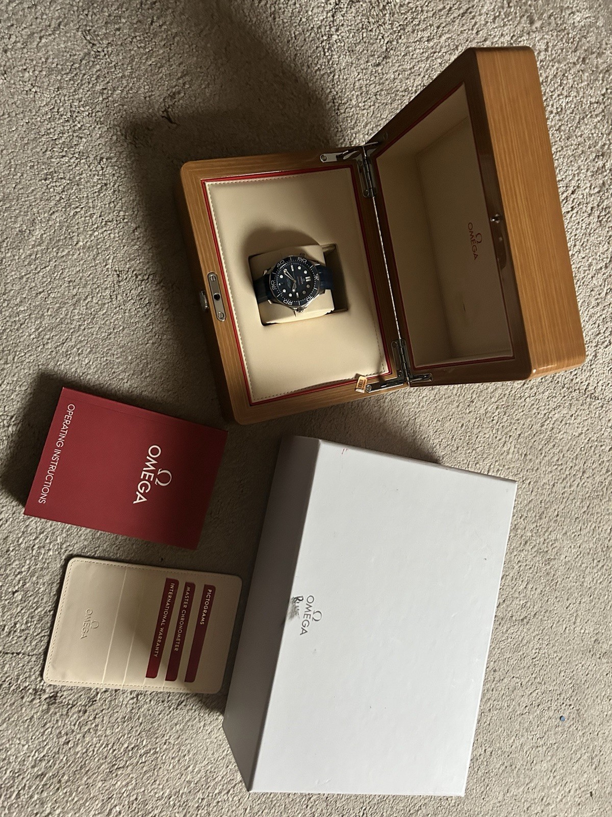 OMEGA Seamaster Professional Blue