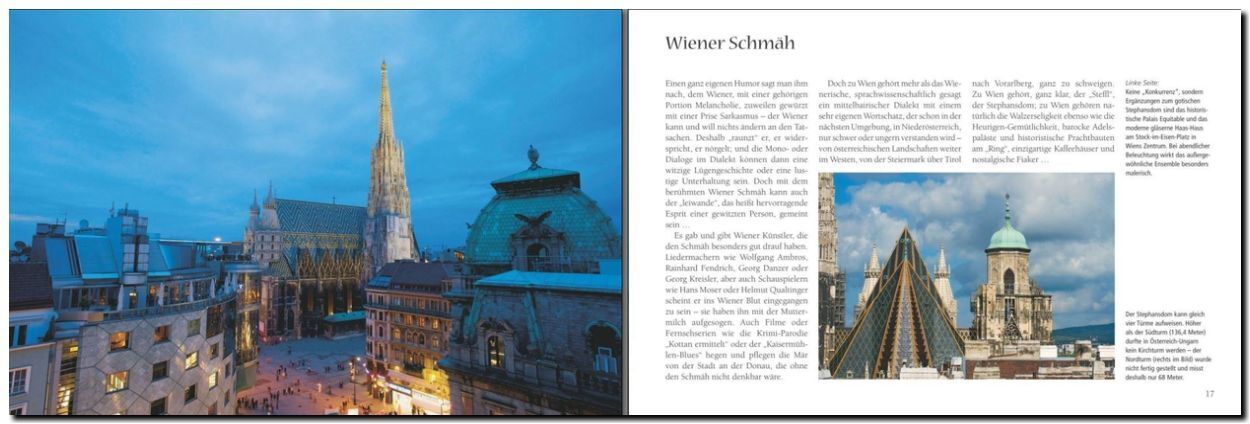 Thumbnail - Wien Panorama Michael Kühler