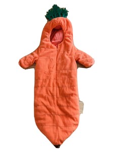 infant carrot costume