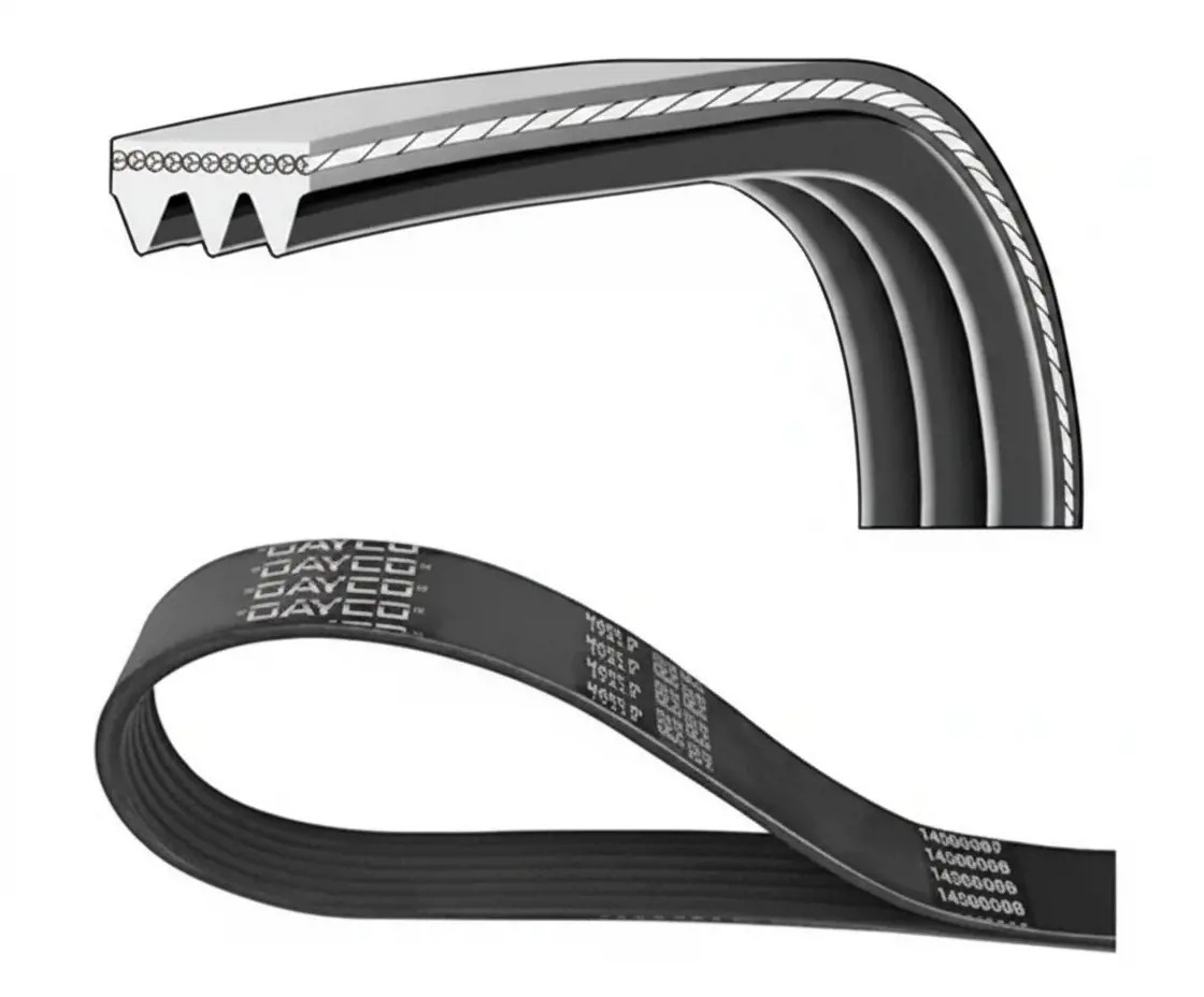 Dayco Cinghia Poly-V 3Pk823ee - Immagine 2
