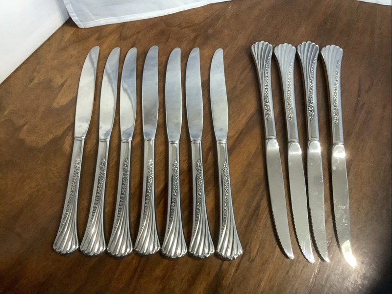 Oneida SPRING GLEN Stainless Distinction Deluxe Glossy Flatware 11 Knives C1