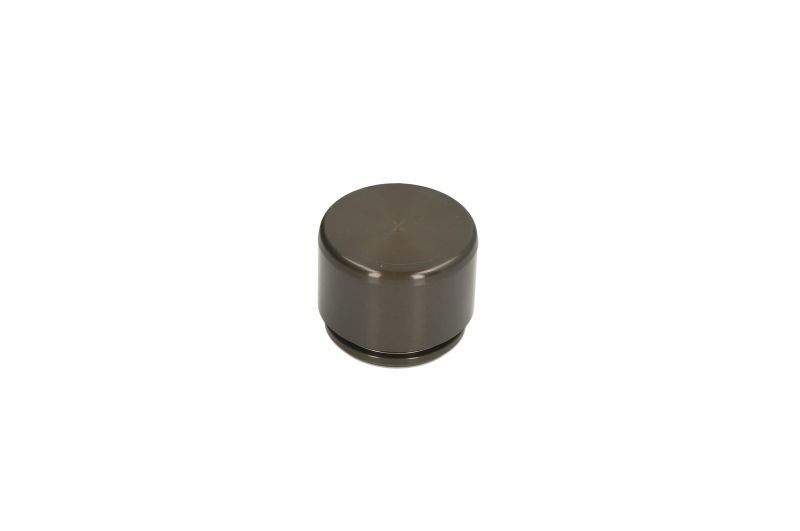 Fits AUTOFREN SEINSA D0-25607 Piston, brake caliper D0-25607 Brake caliper pist