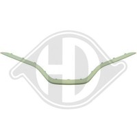 Zier /Schutzleiste KüHlergitter Diederichs 4406044 FüR Renault Vorne