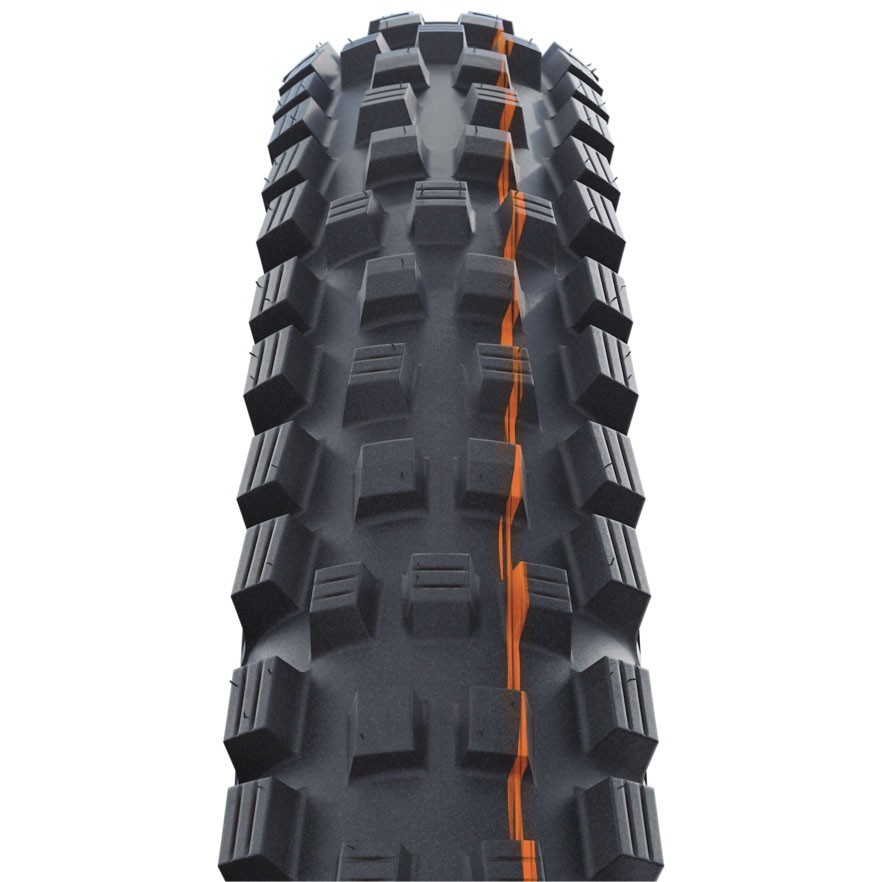 Schwalbe Magic Mary Gravity Pro Radial Tubeless MTB Bike Tire Soft 29 x 2.5"