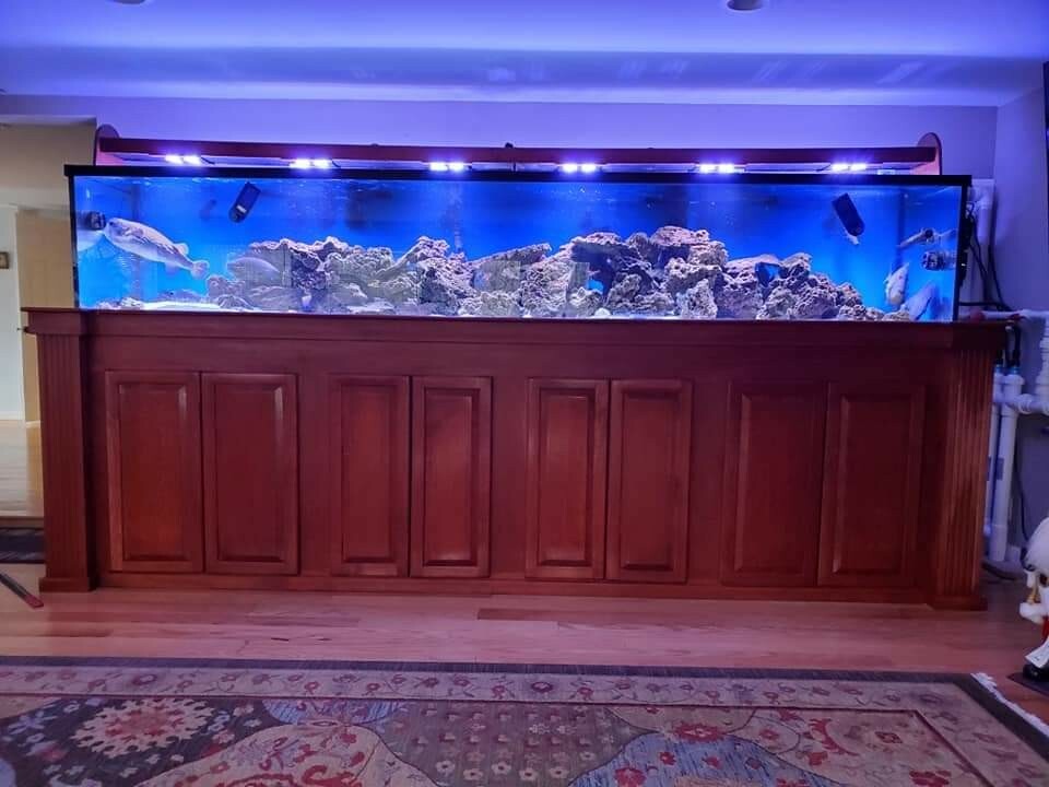 Custom Aquarium Stands and hoods eBay