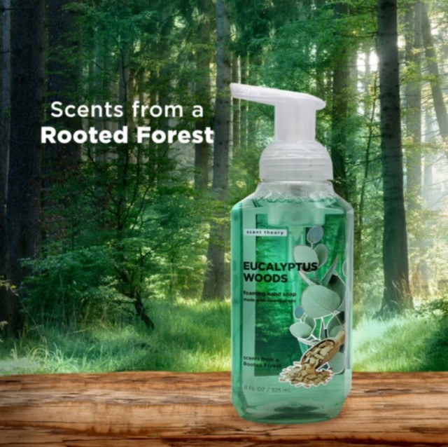 3 Scent Theory Eucalyptus MINT Foaming Hand Soap With Essential Oils 11