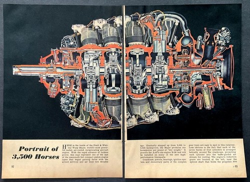 Pratt & Whitney R-4360 Wasp Major 1947 cutaway graphic *Portrait of 3.500 Horses