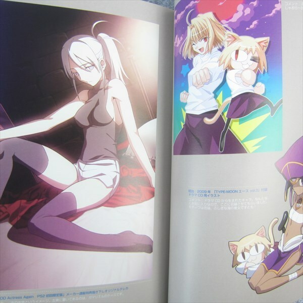 FATE Artbook Books by Type Moon and Type-Moon from Simon &amp