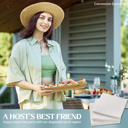 Paper Lunch Napkin 500 Count. 1 Ply Disposable Lunch Napkins, (CELunchNapkinW... - Picture 7 of 7