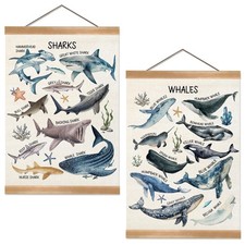 Sharks and Whales Posters, Sea Animals Shark Posters Wall Art,Marine Sharks D...