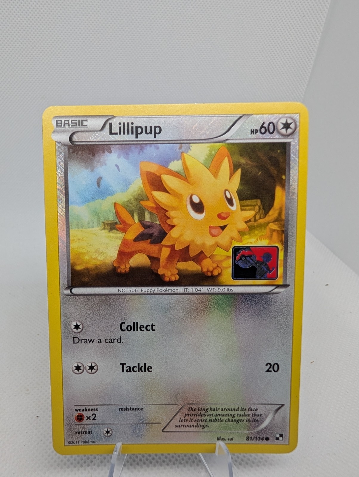 Lillipup 81/114 Crosshatch Holo Black & White League Promo Pokemon Card NM