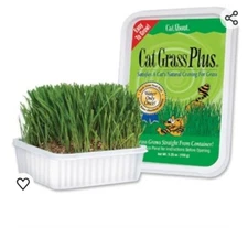 Cat-A'Bout Cat Grass for Indoor Cats, 5.25 Oz, Cat Grass Growing Kit for All Cat