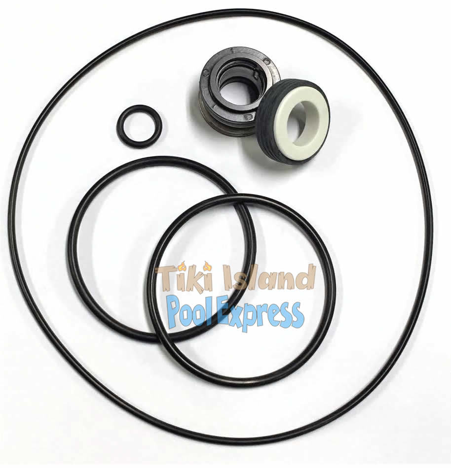 AquaFlo FloMaster XP2, XP2 E Series Pool Pump Shaft Seal & Oring Rebuild Kit 810004221055 eBay