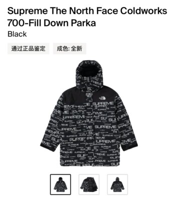 Supreme x The North Face Coldworks 700 Fill Down Parka Supreme x The North Face Coldworks 700 Fill Down Parka