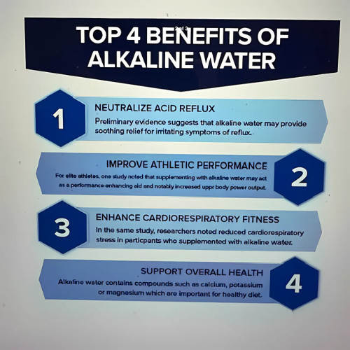 Longrich Alkaline Cup/ Longrich Classy Style Energy Pi Cup/ Water Bottle
